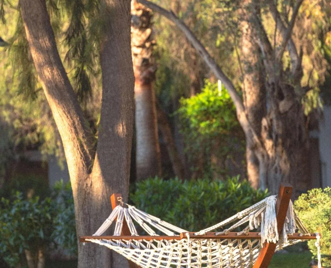 *****  Doubletree By Hilton Bodrum Isil Club Ultra All-Inclusive Resort Torba Turcja